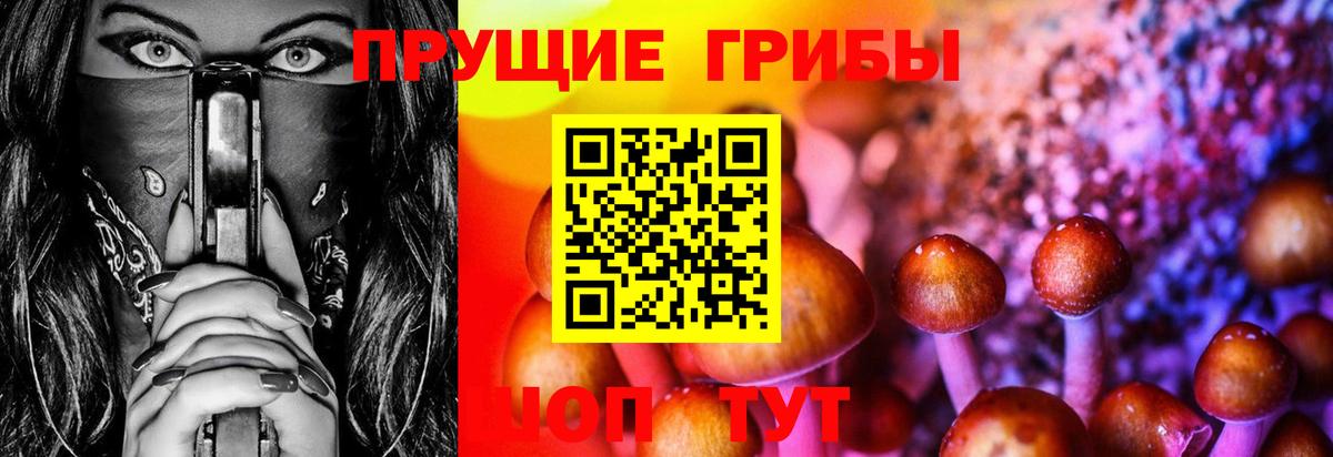 Псилоцибиновые грибы ЛСД  Вход с VPN  Вичуга 